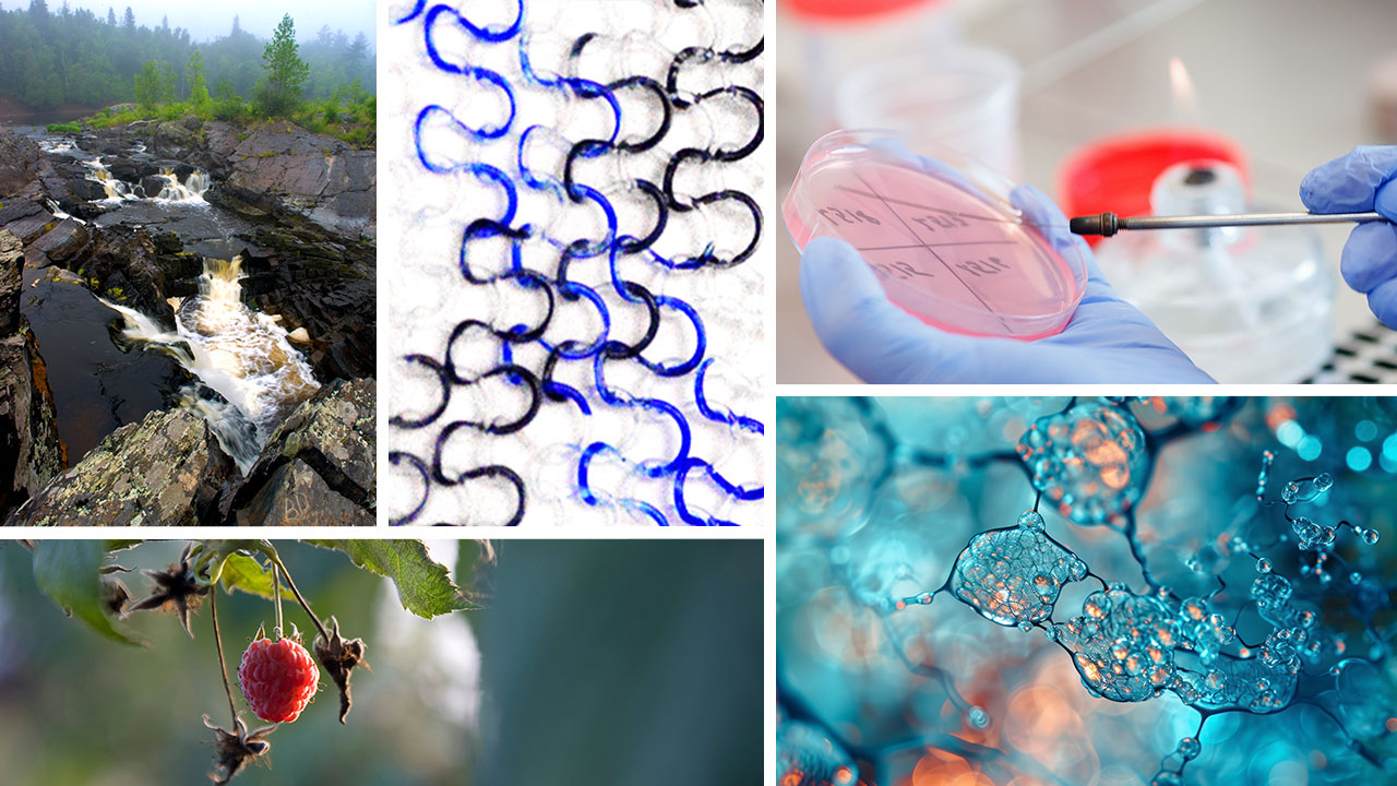 Photo collage representing five of the Spring 2026 Grant-in-Aid projects.