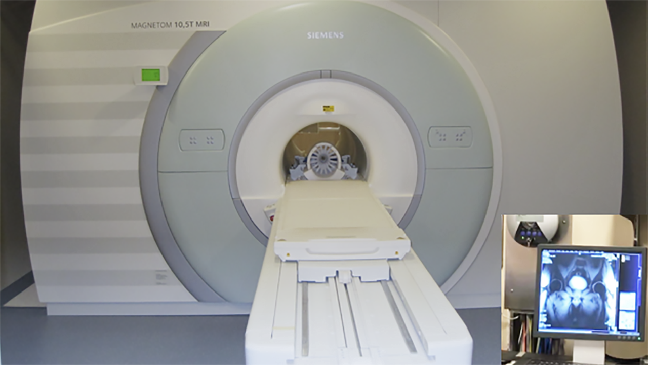 The World's Most Powerful MRI Takes Shape - IEEE Spectrum
