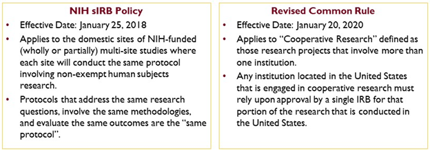 Sirb Requirement Graphic Png Office Of The Vice President For Research