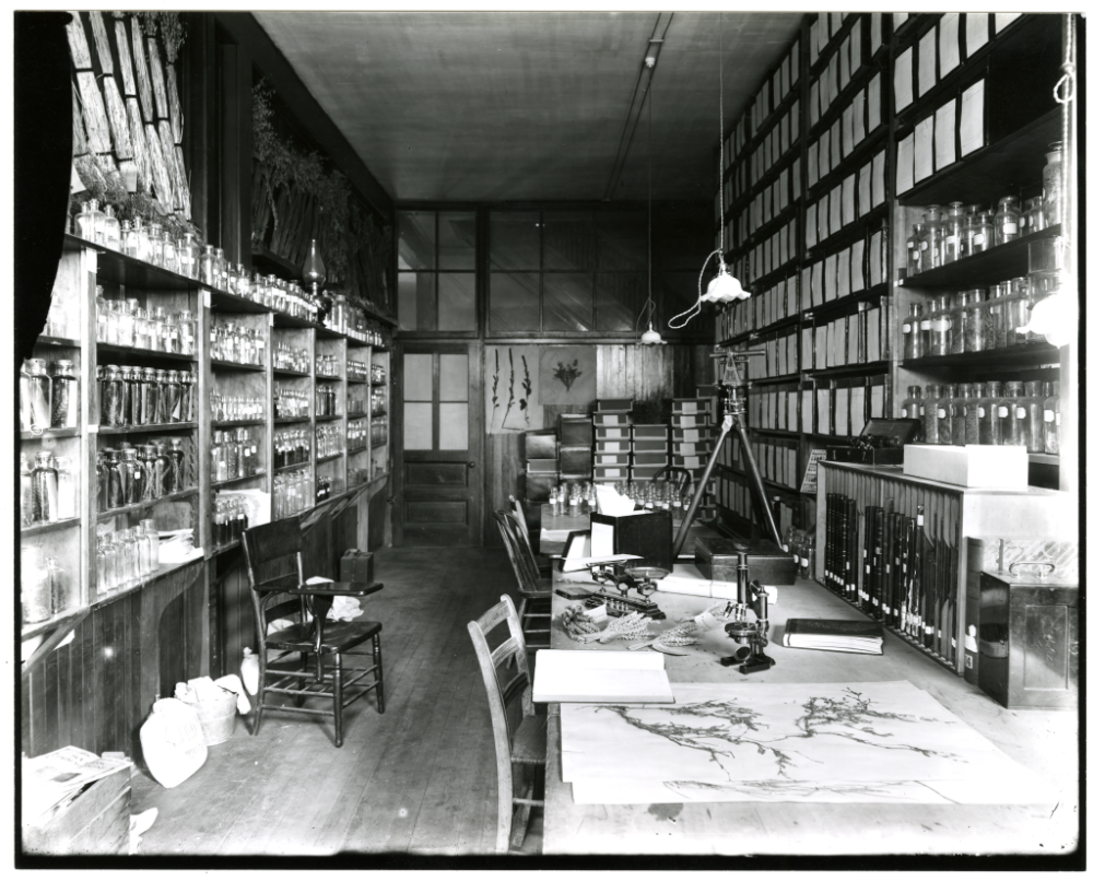 laboratory and seed room of agriculturalist Willet Hays