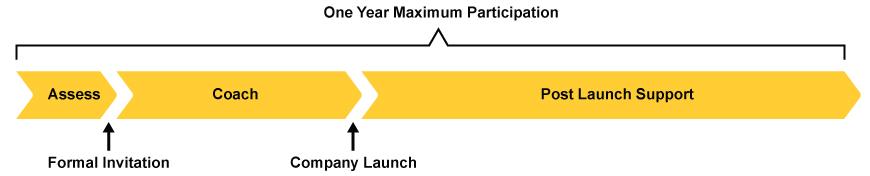 Three phases within a one year maximum participation timeline. Phases are: asses, coach, and post launch support. A formal invitation follows the "asses" phase. "Company launch" follows the "coach" phase.