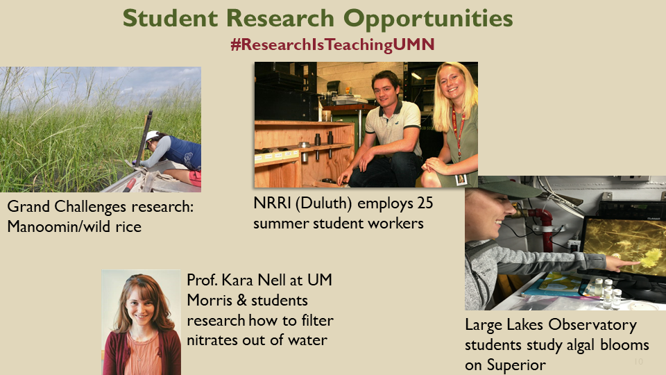 Student research opportunities: wild rice harvesting in Manoomin; student workers at NRRI and note about 25 summer student workers; portrait of Prof. Kara Nell at UMN Morris who filters nitrates from water; student studying algal bloom at large lakes obsv