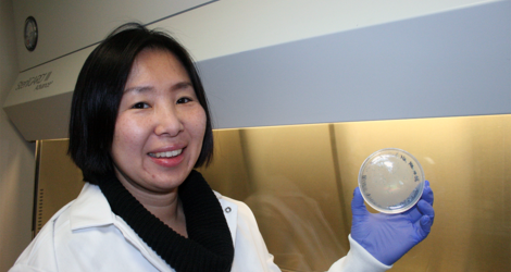 Chan Lan Chun in NRRI laboratory holding a petri dish