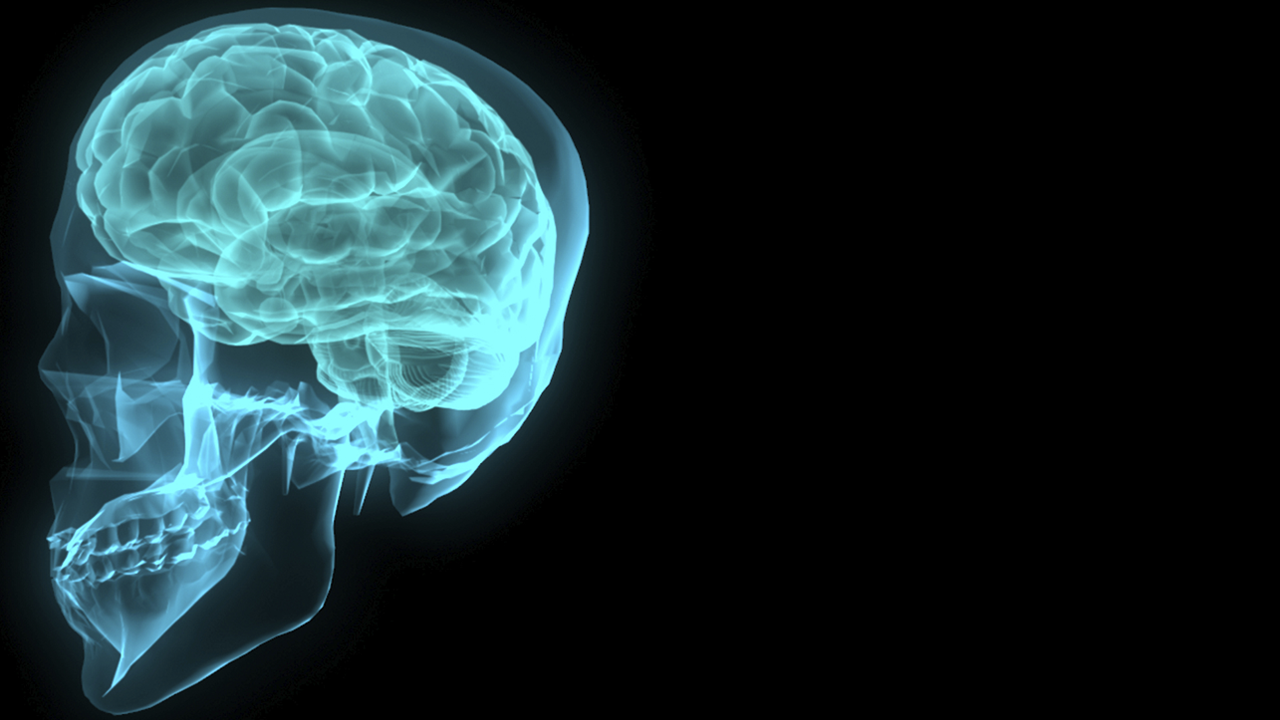 Illustration of a transparent, blue, human skull showing the brain inside