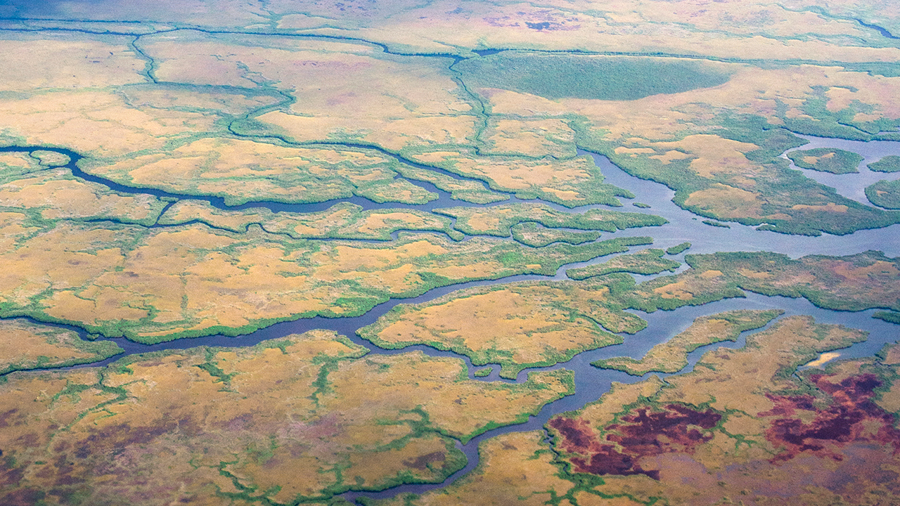 Aerial view of a branched river