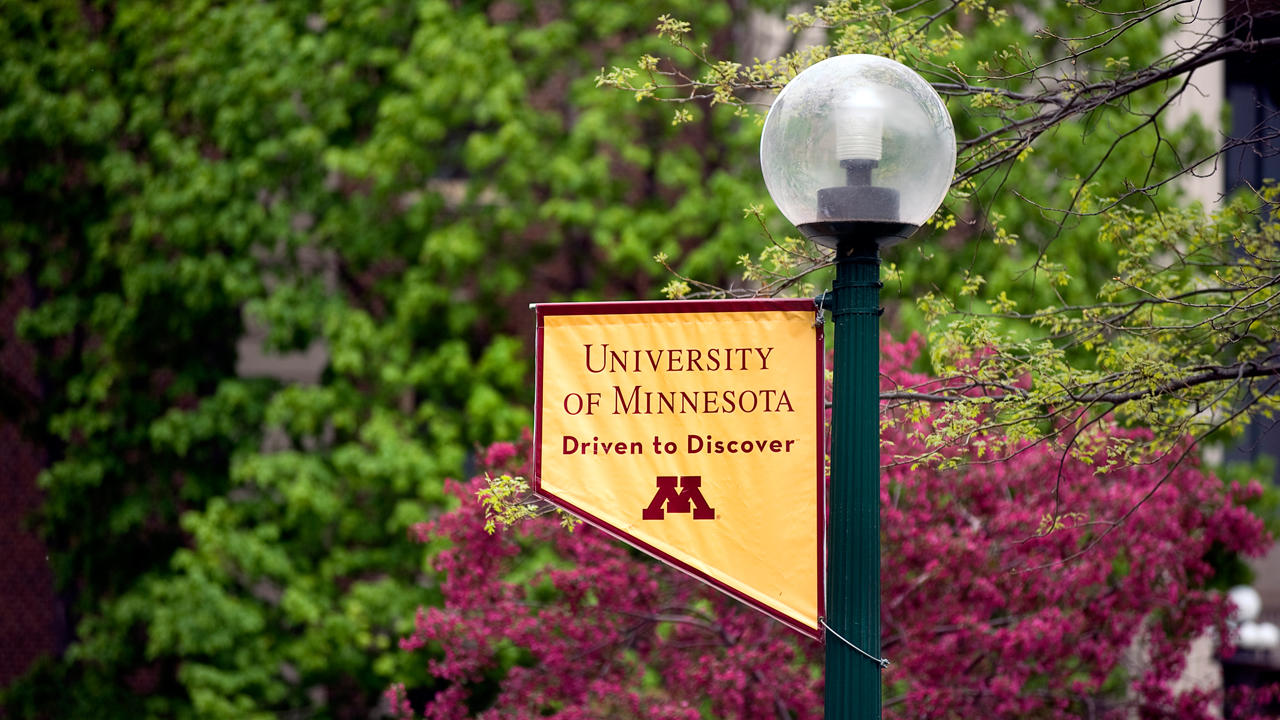 A U of M flag on a lamp post near flowering trees