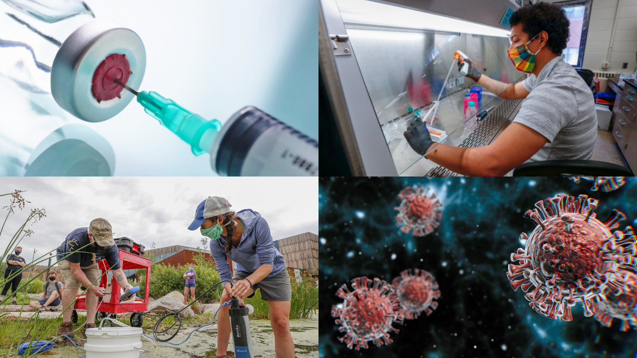 Collage showing a vaccine, a young male using a pipette in a lab, a microscopic view of a coronavirus, and people conducting field research in a pond