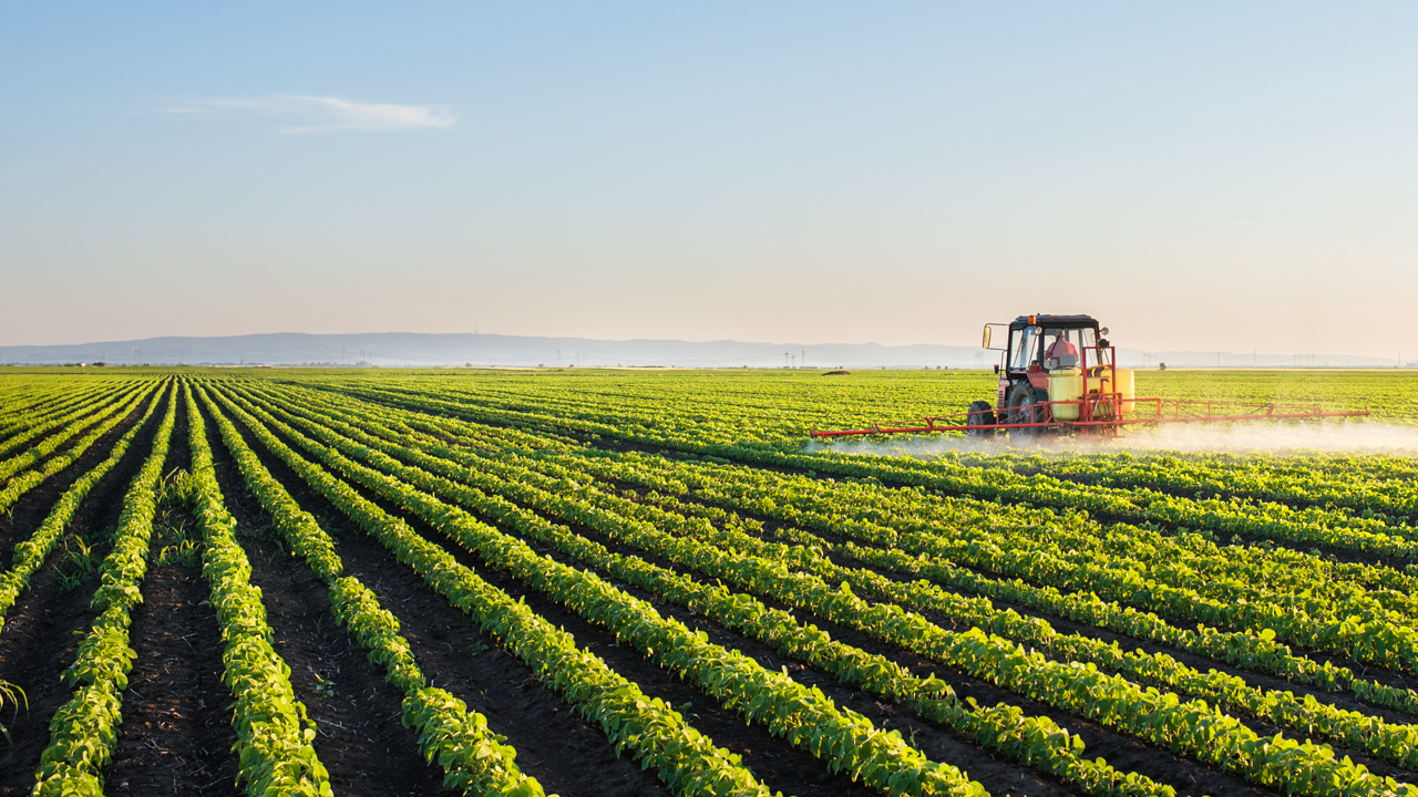 Tractor spraying plants in soybean field