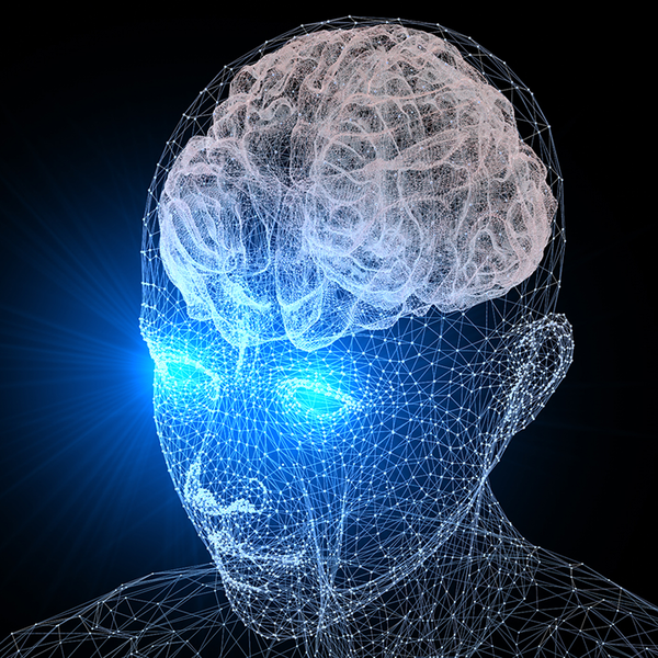 3D illustration of human head with brain highlighted