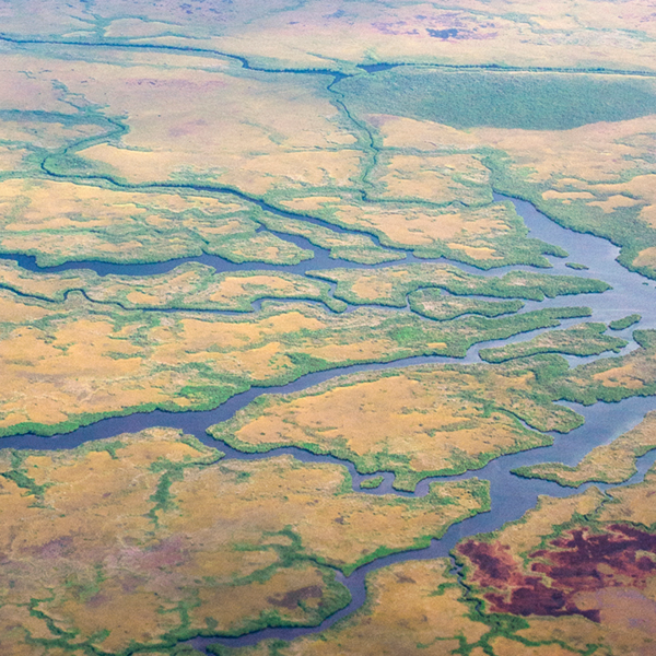 Aerial view of a branched river